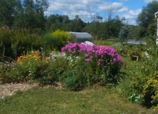 Продажа дома, 36 м2, деревня Комариха (Васильевское сельское поселение), улица Попова, 4