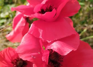 Дом на продажу, 32 м2, посёлок Аять, Центральная улица