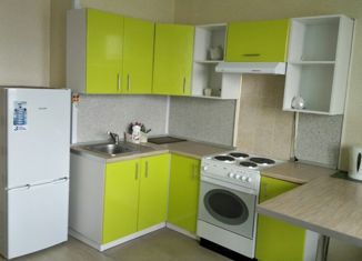 Сдается квартира студия, 25 м2, Мурино, проспект Авиаторов Балтики, 7, ЖК Виктория