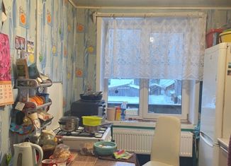 2-ком. квартира на продажу, 50 м2, село Едрово, улица Щебзавода, 16