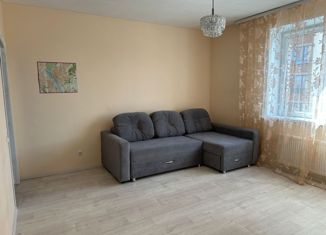 2-ком. квартира в аренду, 54 м2, Новосибирск, Овражная улица, 3