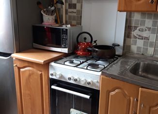 Сдается 2-ком. квартира, 44 м2, Ленинградская область, Сибирская улица, 14