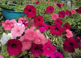 Продажа дома, 65 м2, село Слобода