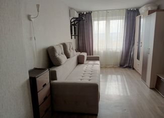 Продажа однокомнатной квартиры, 39.7 м2, Красноярск, Армейская улица, 31, Советский район