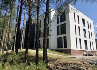 Продажа 2-ком. квартиры, 44 м2, Костомукша, Октябрьская улица, 4А