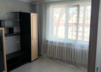 Продаю однокомнатную квартиру, 28.4 м2, Новосибирская область, микрорайон Подгорный, 5