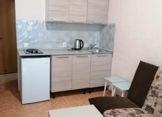 Продажа квартиры студии, 17.2 м2, Нижний Новгород, Бурнаковская улица, 95, Бурнаковская улица