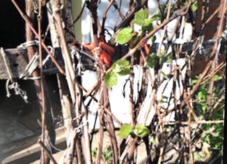 Продаю участок, 3 сот., Новочебоксарск