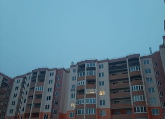 Продаю 1-ком. квартиру, 36 м2, посёлок Красный Бор, посёлок Красный Бор, 1