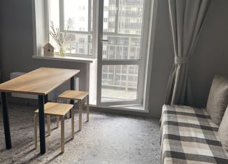 Продажа квартиры студии, 24.4 м2, Новосибирск, метро Золотая Нива, Заречная улица, 55