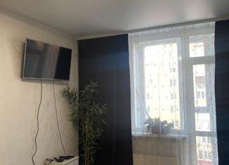 Сдаю в аренду квартиру студию, 28 м2, Томск, Алтайская улица, 24, Советский район