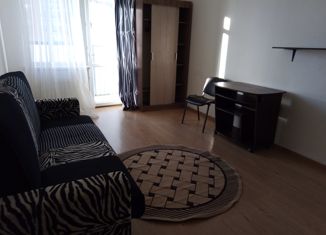 Сдам в аренду квартиру студию, 32 м2, Санкт-Петербург, улица Катерников, 7, улица Катерников