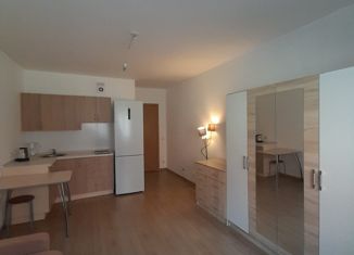 Продаю квартиру студию, 24.5 м2, Колпино, ЖК Новое Колпино, улица Севастьянова, 28к2