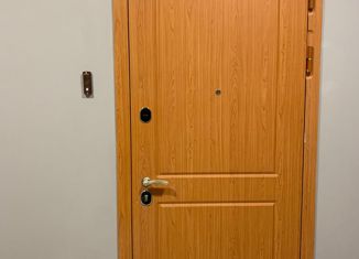 1-комнатная квартира на продажу, 47.1 м2, Москва, 12-я Парковая улица, 7, 12-я Парковая улица