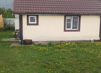 Продам дом, 59 м2, посёлок Становая, Сапфировая улица, 5