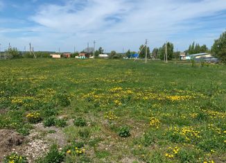 Продажа земельного участка, 25 сот., село Плахино