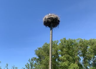 Продажа земельного участка, 15 сот., деревня Подберезье, Центральная улица