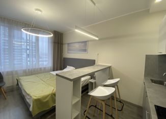 Продам квартиру студию, 24 м2, Санкт-Петербург, Витебский проспект, 101к1, метро Купчино