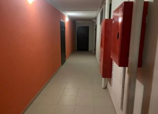 Сдаю квартиру студию, 24 м2, Воронеж, Политехнический переулок, 4