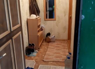 Продается 2-ком. квартира, 40.8 м2, село Малояз, Коммунистическая улица, 65к1