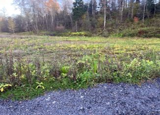 Земельный участок на продажу, 15.2 сот., деревня Шадрино, коттеджный посёлок Шадрино, 265