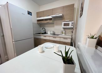 Сдаю квартиру студию, 24.9 м2, Мурино, ЖК Авиатор