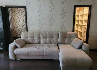 Сдам в аренду 2-ком. квартиру, 45 м2, Екатеринбург, улица Мира, 37, улица Мира