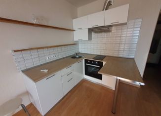 Продажа квартиры студии, 26 м2, деревня Хохряки, Тепличная улица, 30