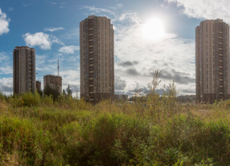 Квартира на продажу студия, 26.5 м2, Санкт-Петербург, метро Парнас, Заречная улица, 11к2