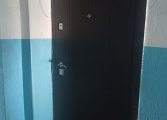 Продается 1-комнатная квартира, 30.4 м2, посёлок городского типа Лучегорск, 2-й микрорайон, 9