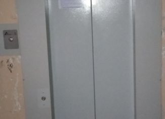 Продается однокомнатная квартира, 41 м2, Тосно, улица Максима Горького, 4