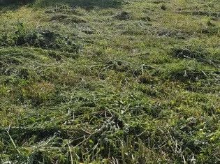 Продам участок, 12 сот., садоводческое некоммерческое товарищество Деулино, Соборная улица