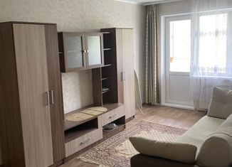 1-комнатная квартира в аренду, 36 м2, Нижний Новгород, Радужная улица, 14