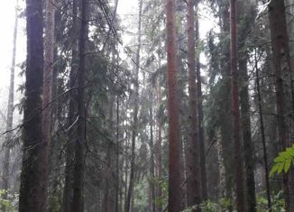 Продаю квартиру студию, 25 м2, Ломоносов, Михайловская улица, 51с1