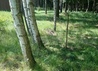 Продается земельный участок, 20 сот., деревня Загорье, Владимирская улица