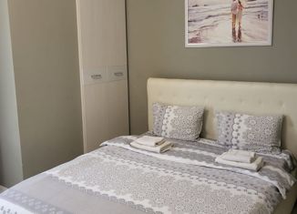 2-ком. квартира на продажу, 41 м2, Сочи, улица Герцена, 3, микрорайон Голубые Дали