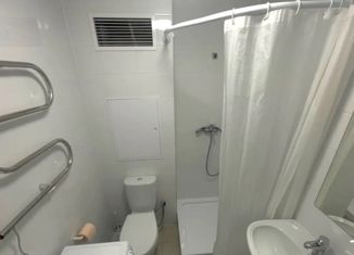 Сдается квартира студия, 25.54 м2, Мурино, ЖК Авиатор, проспект Авиаторов Балтики, 29к2