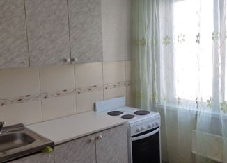 1-комнатная квартира в аренду, 31 м2, Новосибирск, Чемская улица, 40, Чемская улица