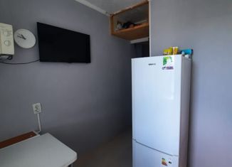 Продажа 1-ком. квартиры, 26.9 м2, Лениногорск, улица Добролюбова, 9