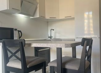 Продается 1-комнатная квартира, 41 м2, Санкт-Петербург, Плесецкая улица, 6, ЖК Ариосто