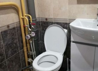 1-комнатная квартира на продажу, 40.6 м2, Нижний Новгород, Дворовая улица, 30, Дворовая улица