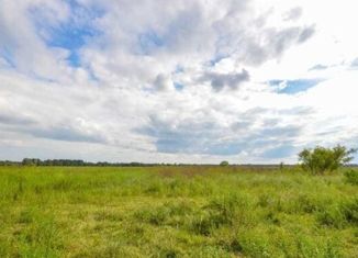 Продаю земельный участок, 10 сот., Агрыз, улица Мира