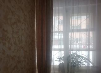 2-комнатная квартира на продажу, 41.6 м2, Нижний Новгород, проспект Ильича, 26, метро Парк Культуры
