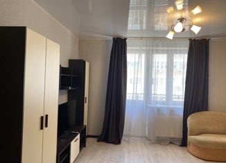 Сдача в аренду квартиры студии, 34 м2, Краснодар, улица Красных Партизан, 1/3к4, микрорайон Светлоград