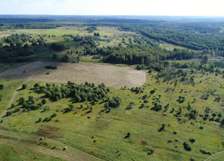 Продается земельный участок, 117.2 сот., деревня Нива 1-я