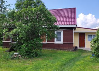 Продается дом, 50.2 м2, деревня Ручьи, Сойкинская улица, 4