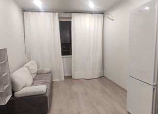 Сдаю в аренду квартиру студию, 25 м2, Краснодар, Тепличная улица, 62/1к5, ЖК Акварели 2