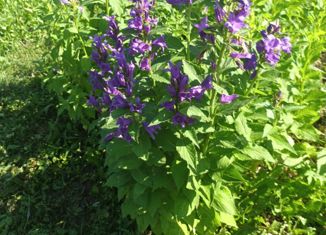 Земельный участок на продажу, 7.5 сот., СНТ Лидер, СНТ Лидер, 121