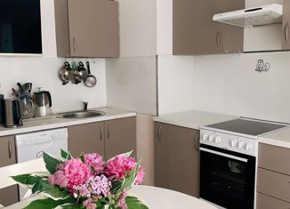 Продается 2-ком. квартира, 56.9 м2, Санкт-Петербург, улица Корнея Чуковского, 3к3, улица Корнея Чуковского