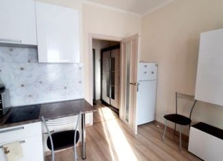 Продается квартира студия, 22 м2, Санкт-Петербург, улица Крыленко, 2